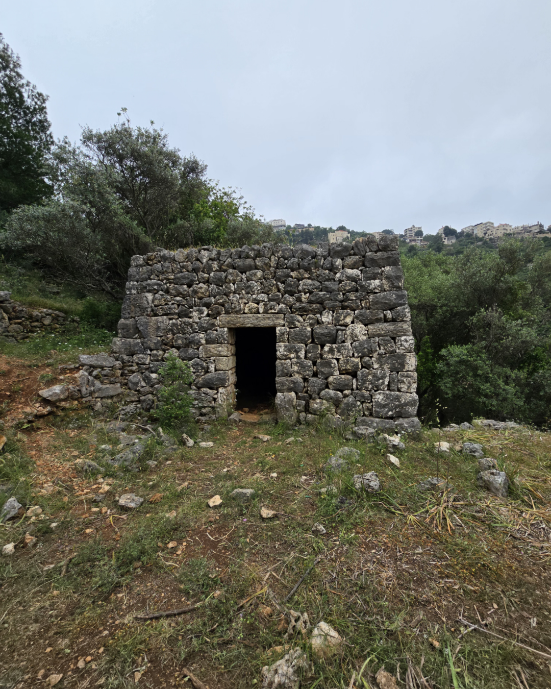 Ghazir Valley- 14 June 2026- Moderate