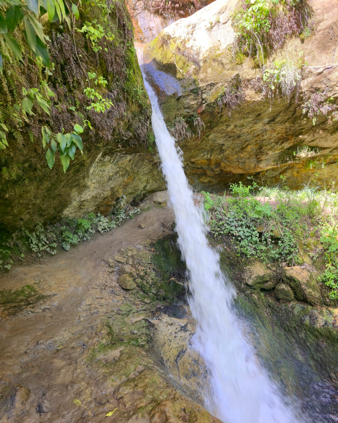 Amazon Trail (Baskinta)- 31 May 2026- 2 Levels