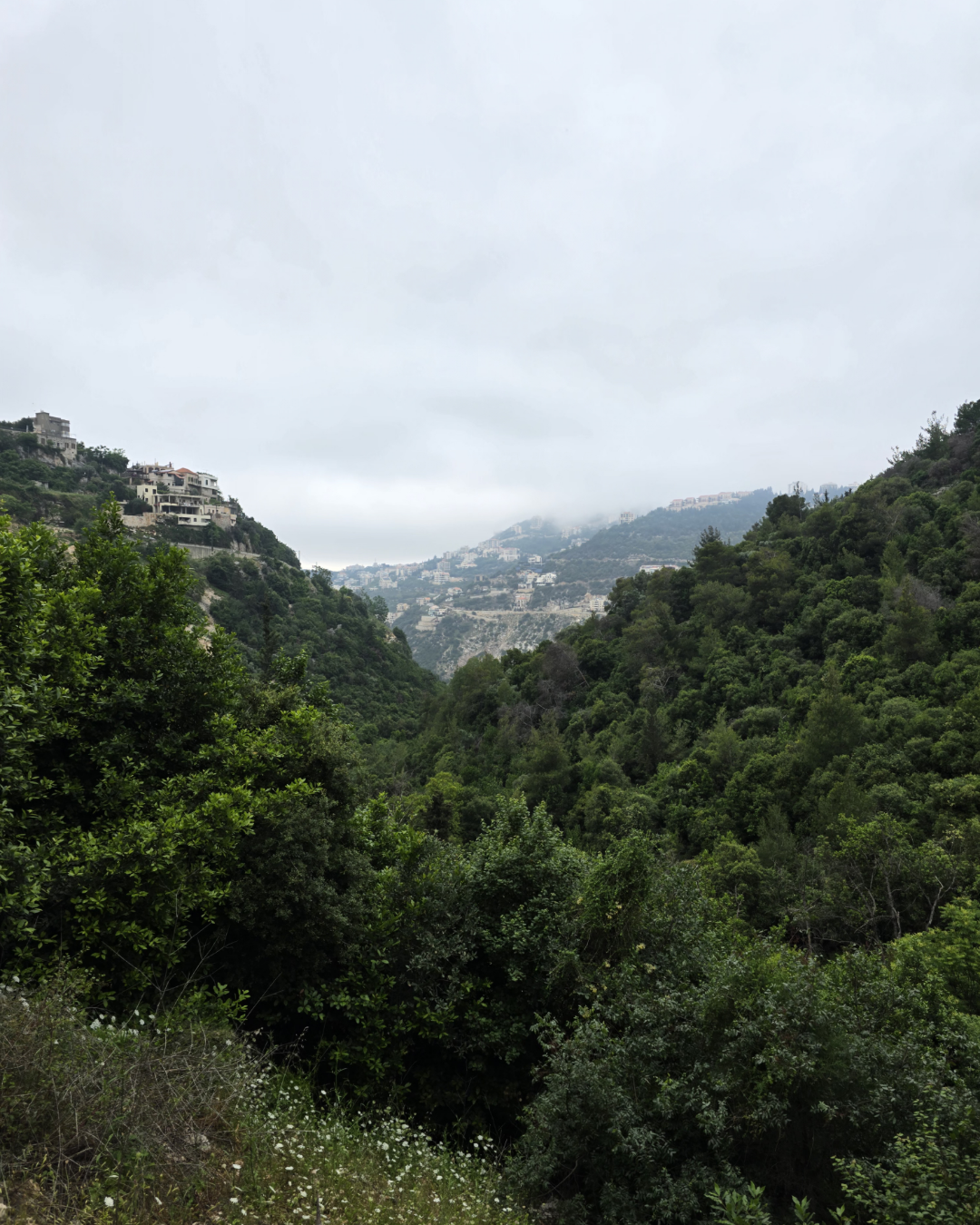 Ghazir Valley- 14 June 2026- Moderate