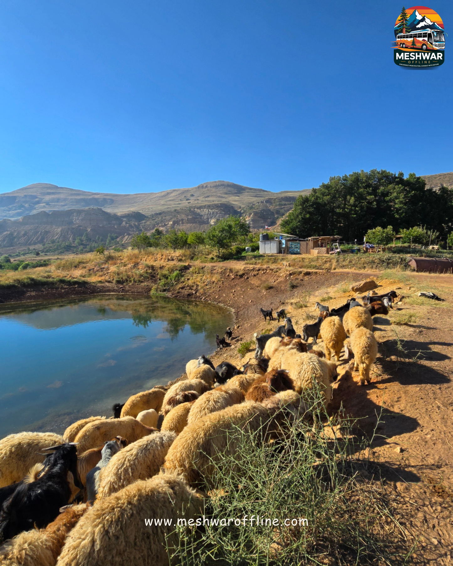 3 in 1 Camp -Majdel Tarchich- 11 & 12 July 2026
